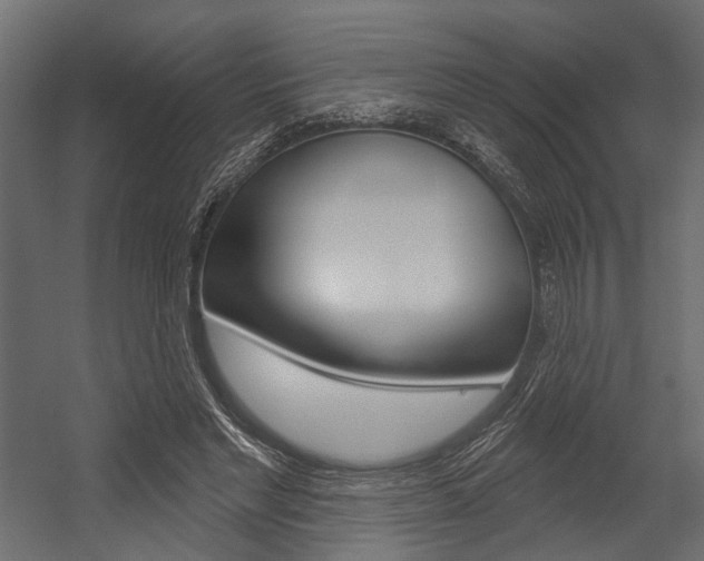 X0000054420493200507290930
