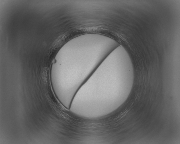 X0000054420495200507290930