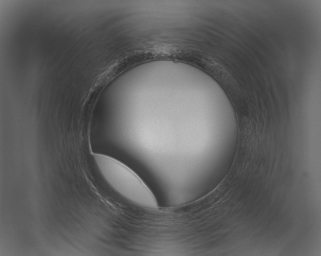 X0000054420496200507290929