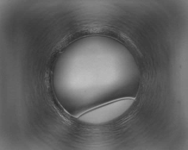 X0000054420497200507290929