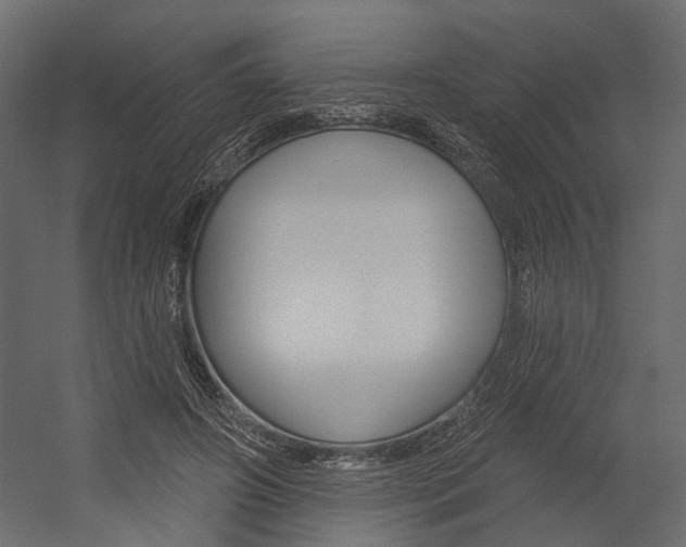 X0000054420498200507290929