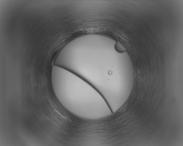 X0000054420499200507290929
