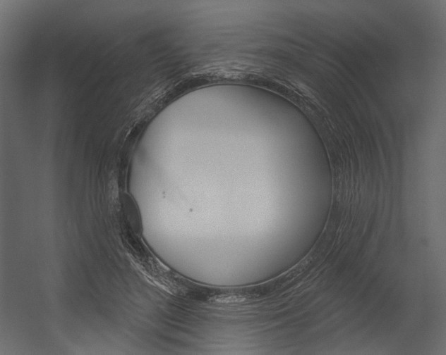 X0000054420500200507290929