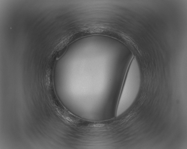 X0000054420501200507290929