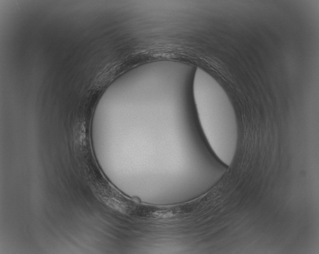 X0000054420502200507290929