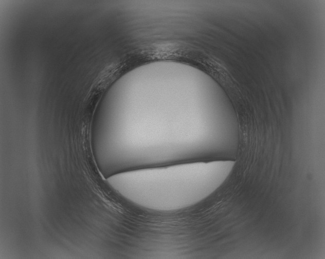 X0000054420503200507290929