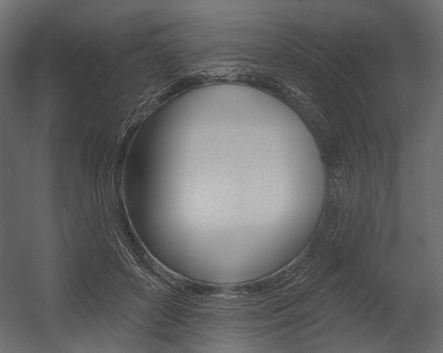 X0000054420504200507290929