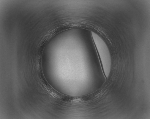 X0000054420505200507290929