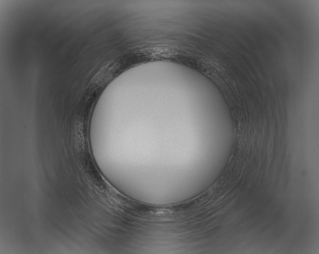X0000054420506200507290929
