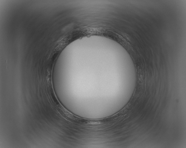 X0000054420507200507290929