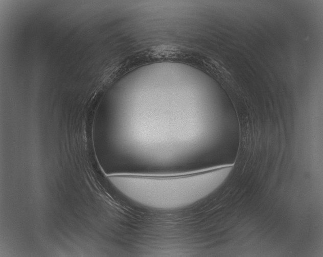 X0000054420508200507290929