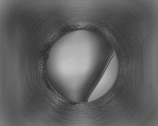 X0000054420509200507290929