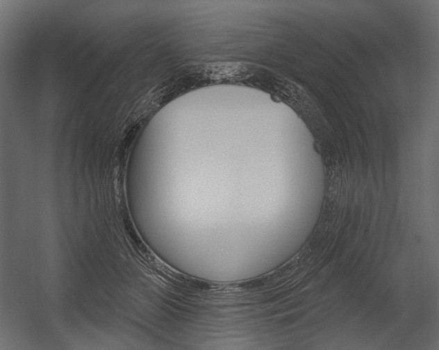 X0000054420510200507290929