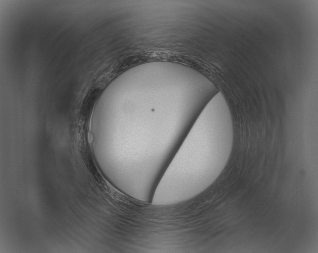 X0000054420511200507290929
