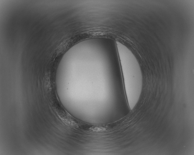 X0000054420512200507290929