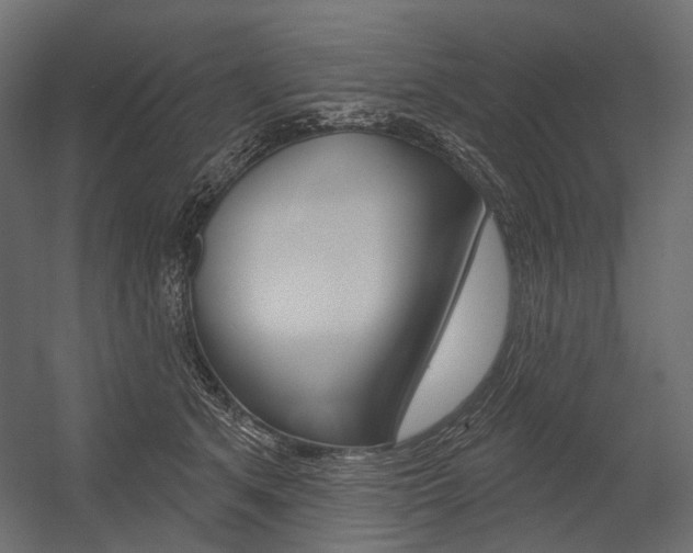 X0000054420513200507290929