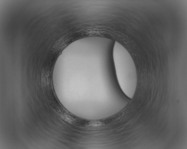 X0000054420514200507290929