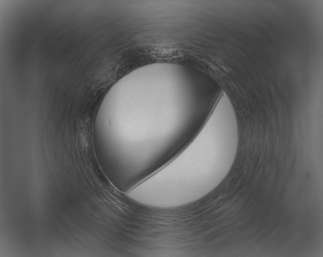 X0000054420515200507290929