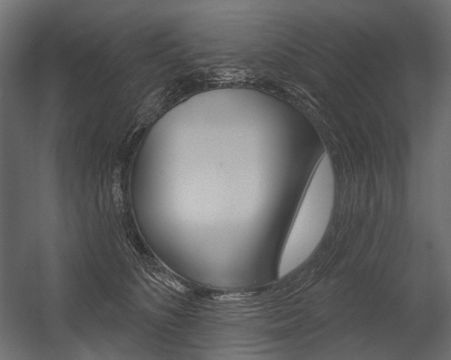 X0000054420516200507290929