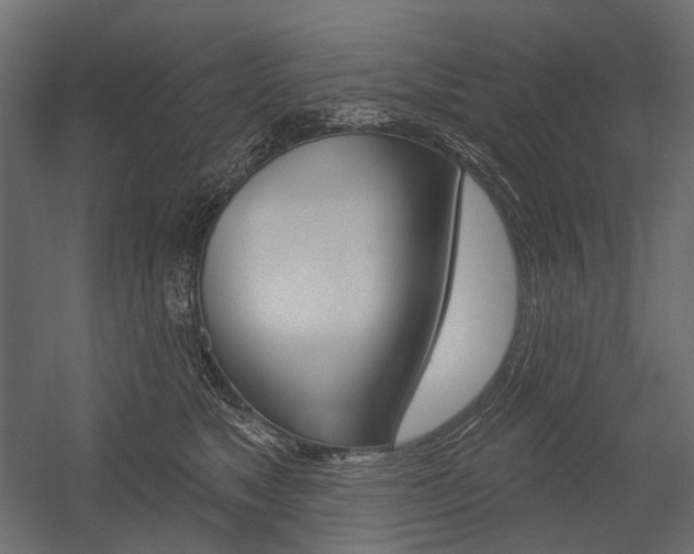 X0000054420517200507290929