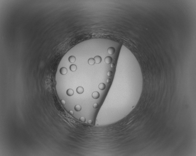 X0000054420519200507290929