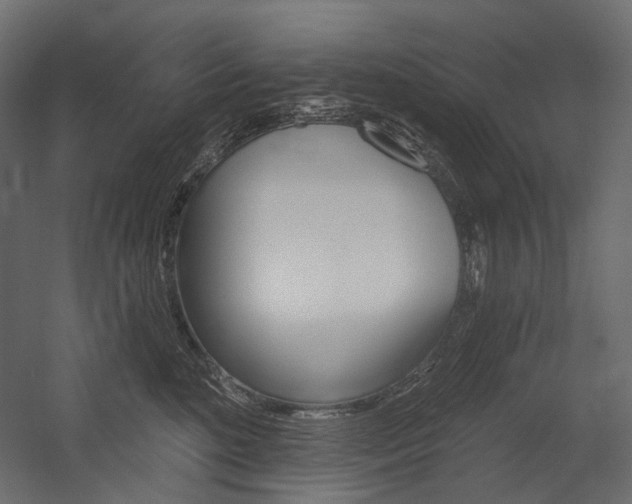 X0000054420520200507290929