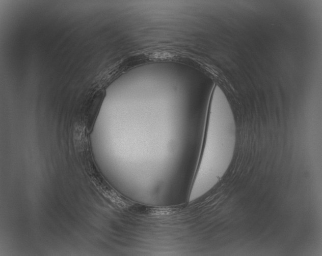 X0000054420521200507290929