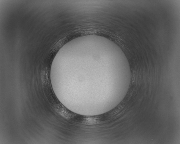 X0000054420522200507290929