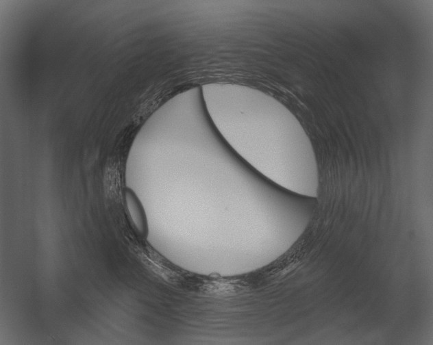 X0000054420523200507290929