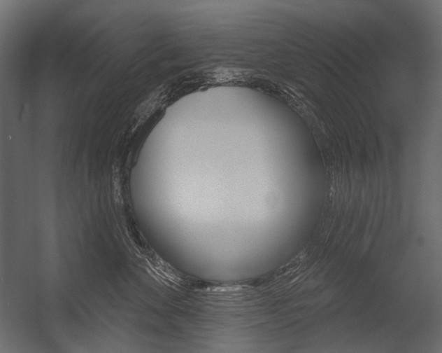 X0000054420524200507290929