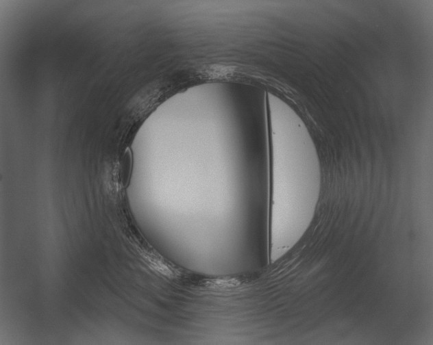 X0000054420525200507290929