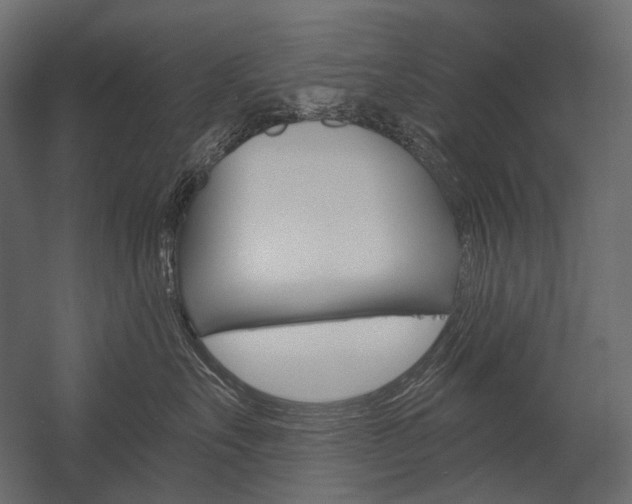 X0000054420527200507290929