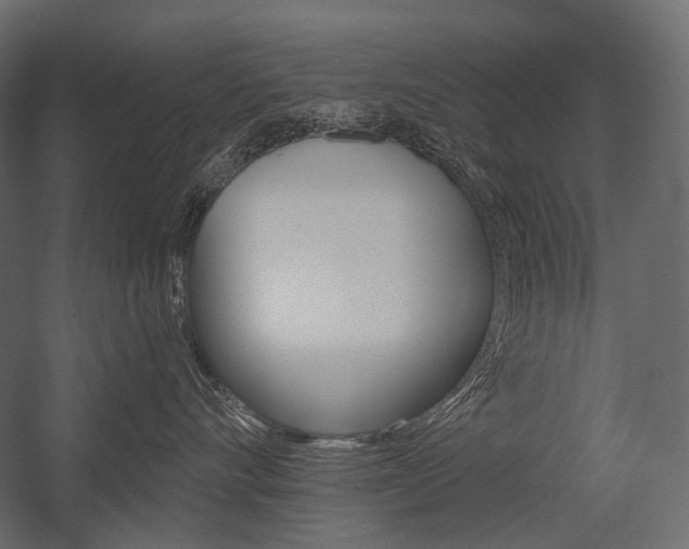 X0000054420528200507290929
