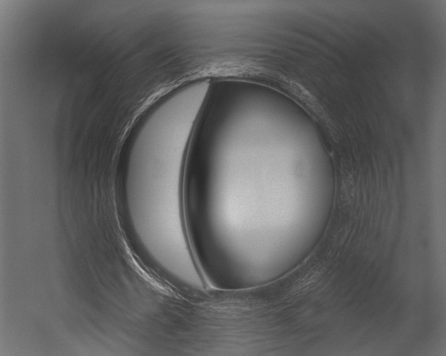 X0000054420530200507290928