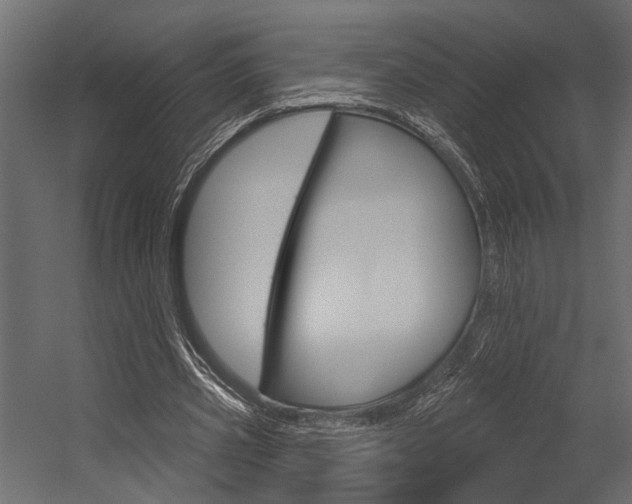 X0000054420533200507290928