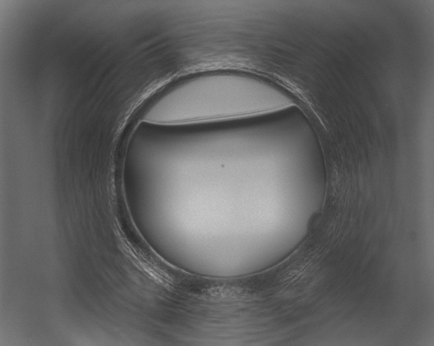 X0000054420535200507290928