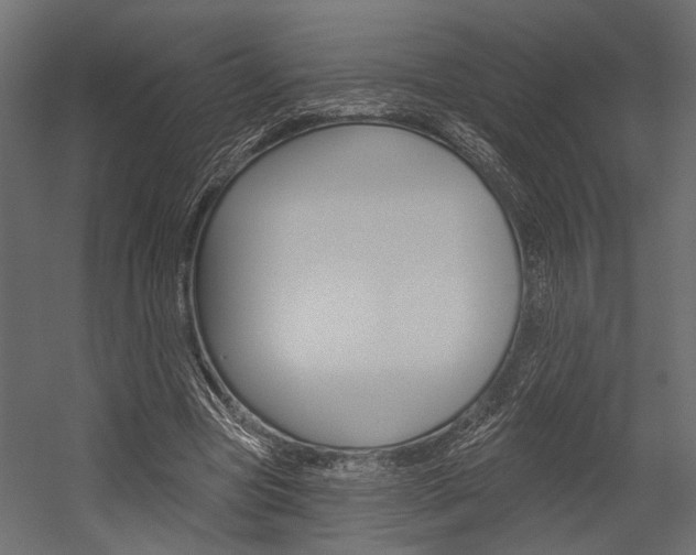 X0000054420537200507290928