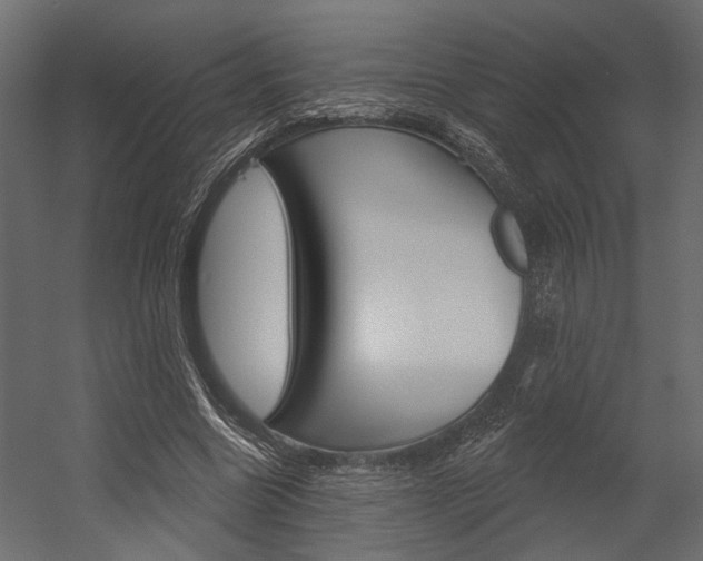 X0000054420538200507290928