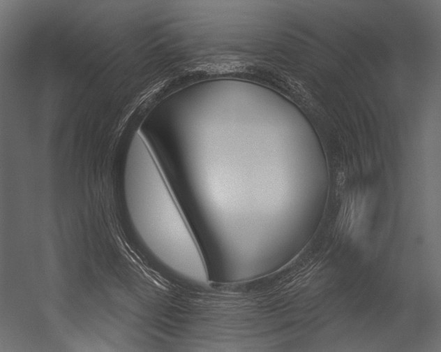 X0000054420539200507290928