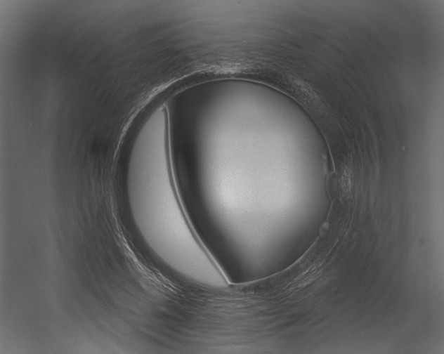 X0000054420540200507290928