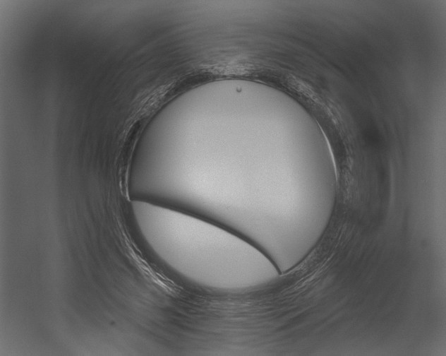 X0000054420541200507290928