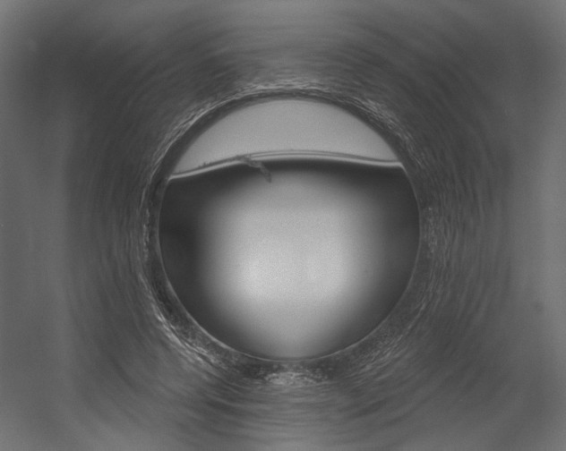 X0000054420544200507290928