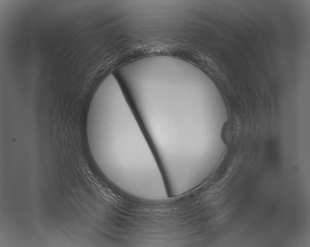 X0000054420545200507290928