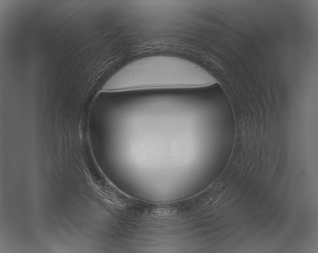 X0000054420546200507290928
