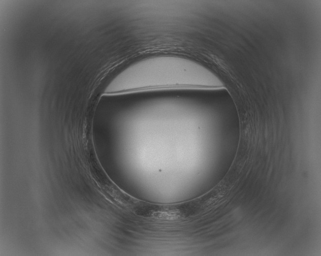 X0000054420548200507290928