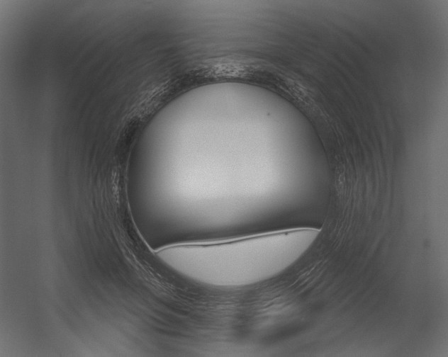 X0000054420551200507290928