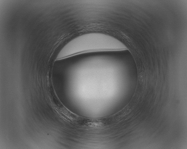 X0000054420552200507290929