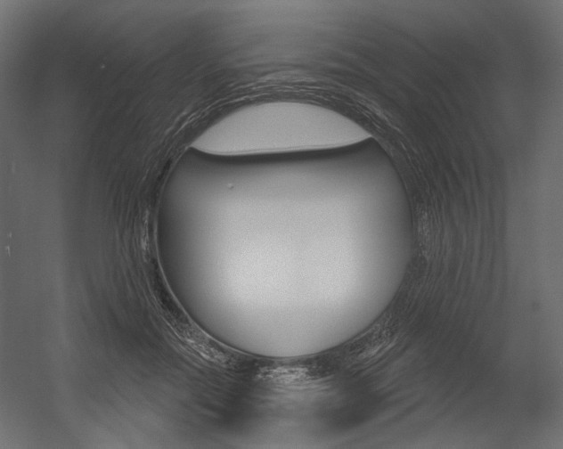 X0000054420554200507290929