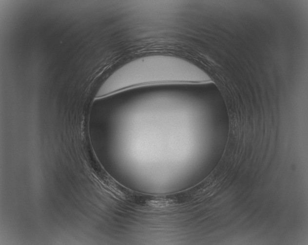 X0000054420556200507290929