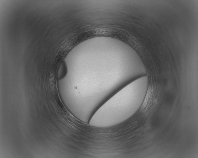 X0000054420557200507290929